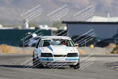 media/Oct-12-2025-Lucky Dog Racing (Sun) [[8adb5568ea]]/1-First Stint/1-Race Start Turn 16/